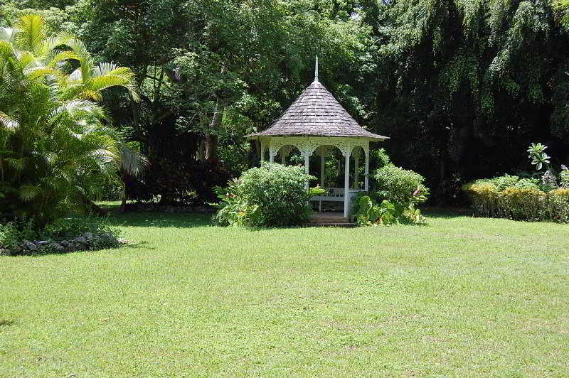 Inn At Shaw Park Gardens & Waterfalls Ocho Rios Exterior photo