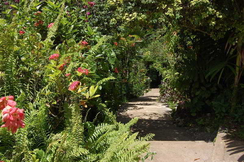 Inn At Shaw Park Gardens & Waterfalls Ocho Rios Exterior photo