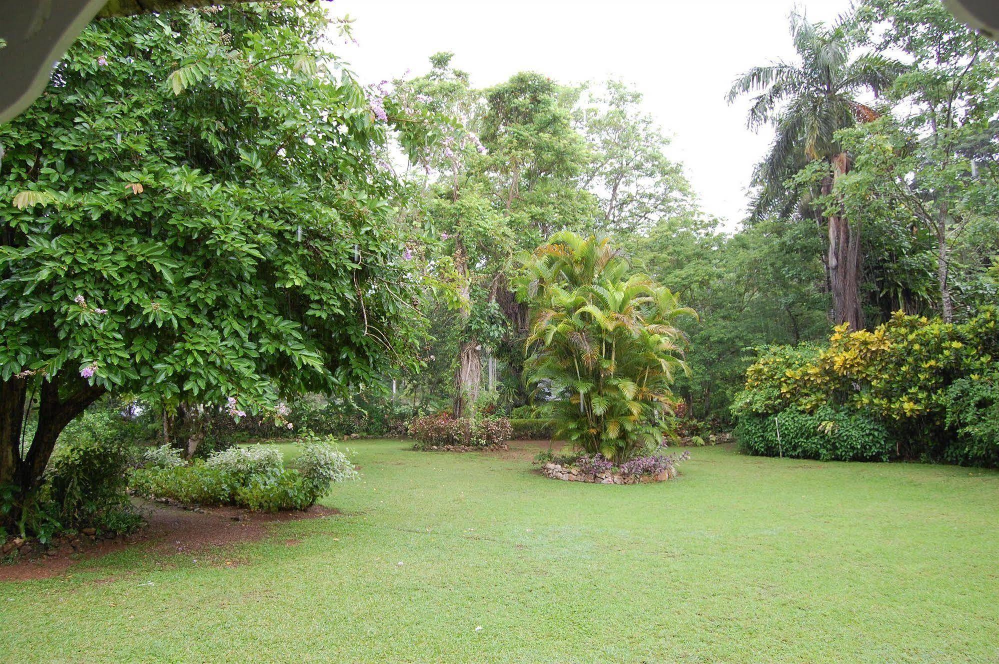 Inn At Shaw Park Gardens & Waterfalls Ocho Rios Exterior photo